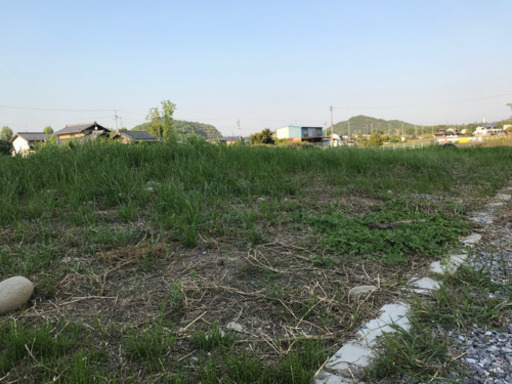 庭の整地 残土処理