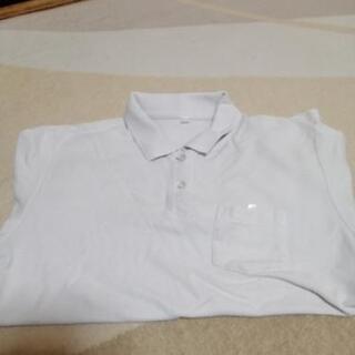 白ポロシャツ170