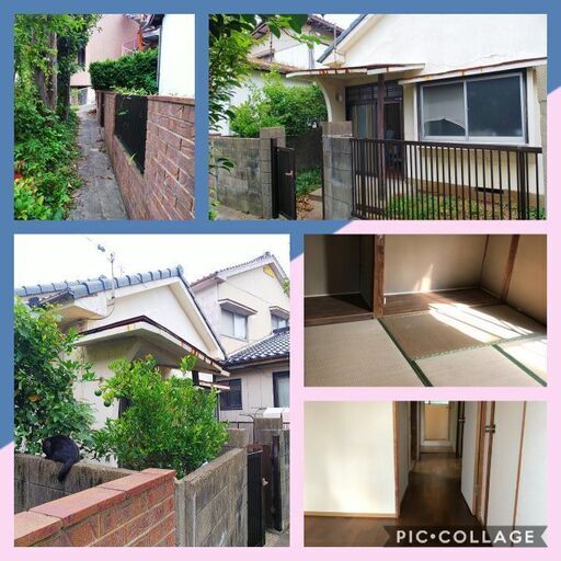 単身でもご家族でもルームシェアでも使える3k平屋 ペットもo K 初期費用たった3万円 敷金 礼金 仲介手数料なし 8月末までの期間限 かみかみ 下関の一戸建ての不動産 住宅情報 無料掲載の掲示板 ジモティー