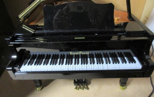 Amazon.com: Sega Toys Grand Pianist : Toys & Games