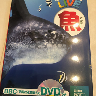 学研の図鑑　魚　DVD付き