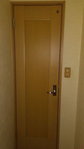 トイレ用ドア＋ドア枠セット　ノダ製　リフォームに