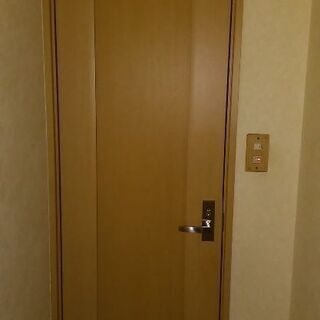 トイレ用ドア＋ドア枠セット　ノダ製　リフォームに