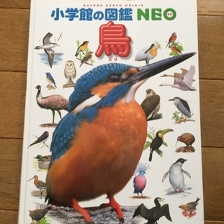 小学館の図鑑 NEO 鳥