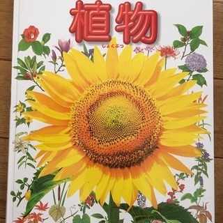小学館の図鑑 NEO 植物