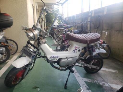 角目シャリー　カスタム　CF50