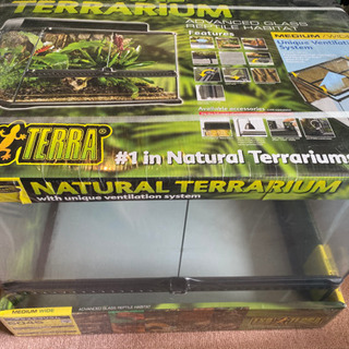 グラステラリウム6045×2個