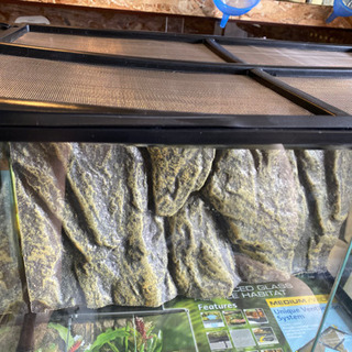 グラステラリウム6045×2個