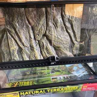 グラステラリウム6045×2個