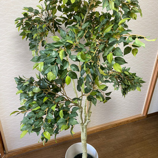 観葉植物　光触媒造花・フェイクグリーン