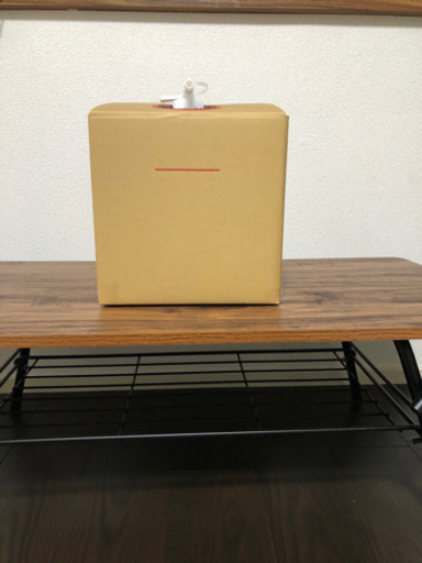 新型コロナウイルス感染症（COVID-19）対策の電解次亜水50ppm   10リットル