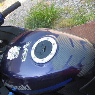 ZZR250 美車 動画付