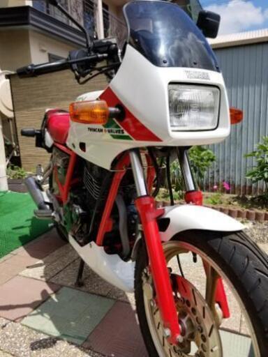 SRX250F 実働❗