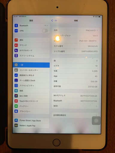 値下げ!iPad mini 5 wifi 256GB GOLD | inmarco.ae
