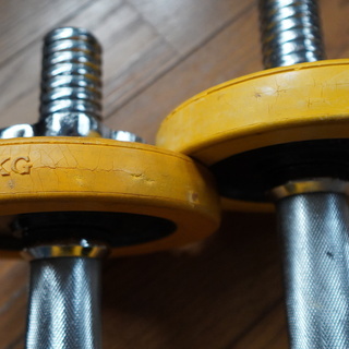 ホームジム：ダンベル、プレート、EZバー、ケトルベル ダンベル、プレートラック