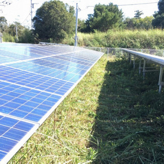 太陽光発電設備の草刈り対応します！の画像