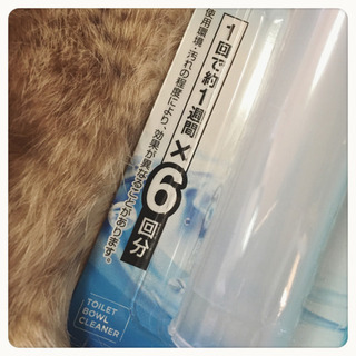 ご購入者様決定[未使用]香るトイレのスタンプ式 洗浄剤 除菌 消臭 洗浄アクアミントの香り2個