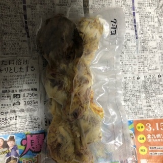 肉食動物の餌(ヒヨコ)260羽(1羽20円)