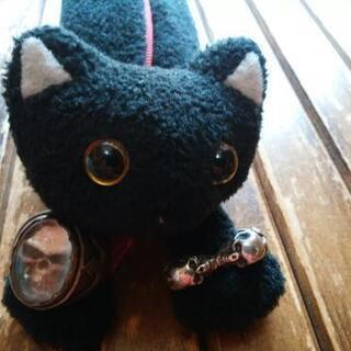 crazy pig CRYSTAL SKULL RING（USED）