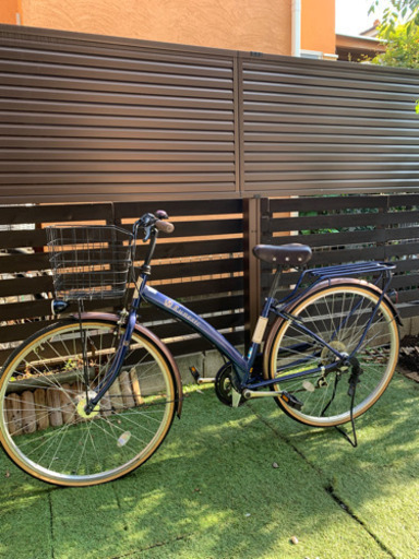 人気車種