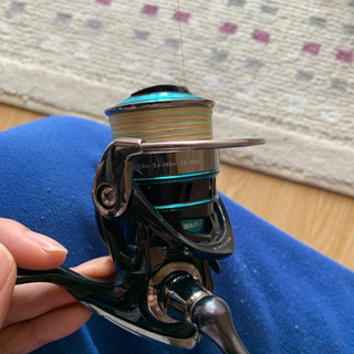 エメラルダス　エギング