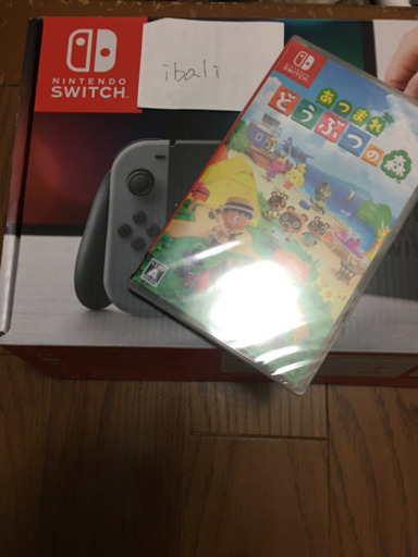 Nintendo Switch ニンテンドースイッチ/あつまれどうぶつの森