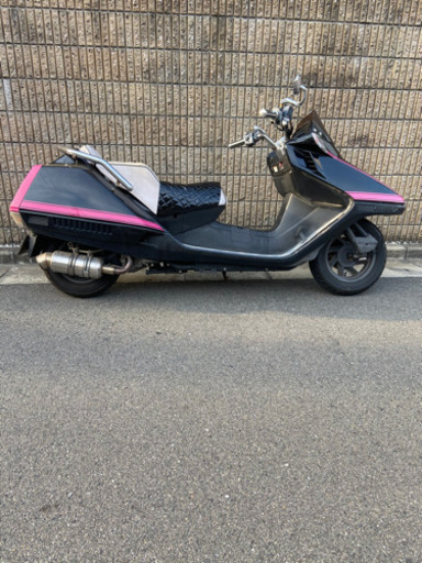フュージョン自賠責つき！
