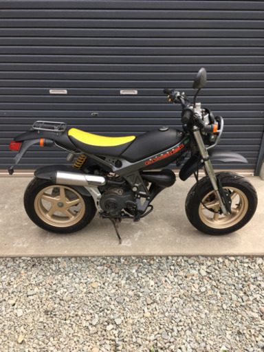 商談中】希少種！珍車？ストマジⅡ 【公式通販】