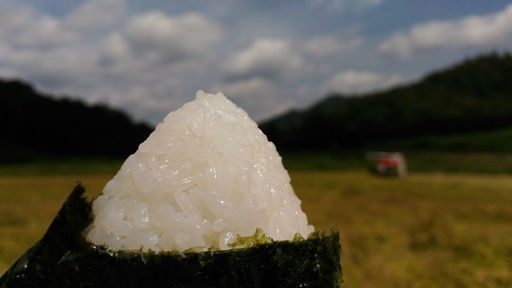 有機肥料栽培の阿東米！山口県阿東産コシヒカリ玄米 30kg【8℃で