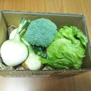 新鮮⭐️新玉ねぎ３つ&ブロッコリー&レタス野菜セット⭐️