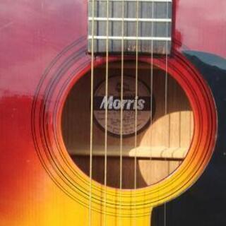 モーリス、アコースティックギター