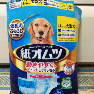 高齢犬　紙オムツ　L Lサイズ　大型犬用5枚入り残4枚