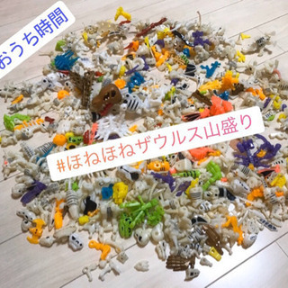 ほねほねザウルス 山盛り1.1kg セット（カバヤ）