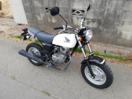 APE 100　美品