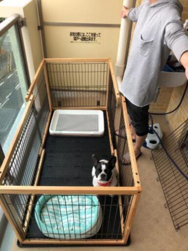 ランキング上位のプレゼント 犬サークル ケージ 木製 中古品 直接引き取り希望 犬用品 ランキング上位のプレゼント 犬サークル ケージ 木製 中古品 直接引き取り希望 犬用品