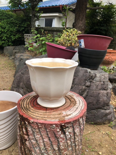 陶器植木鉢プランター白 うさこ 御所の生活雑貨の中古あげます 譲ります ジモティーで不用品の処分 陶器植木鉢プランター白 うさこ 御所の生活雑貨の中古あげます 譲ります ジモティーで不用品の処分