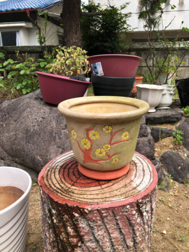 陶器プランター花柄 うさこ 御所の生活雑貨の中古あげます 譲ります ジモティーで不用品の処分 陶器プランター花柄 うさこ 御所の生活雑貨の中古あげます 譲ります ジモティーで不用品の処分