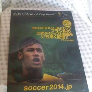 2014　FIFA　World　Cup　Brazil　クリアファ...