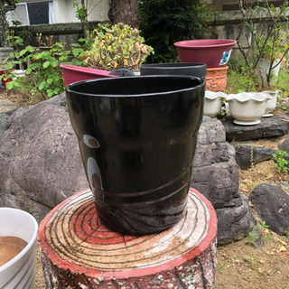 陶器植木鉢　プランター　黒②