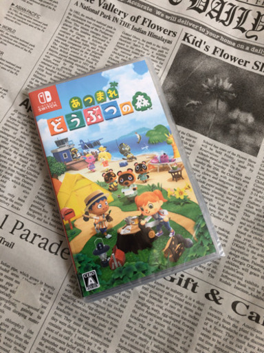 あつまれどうぶつの森　スイッチ