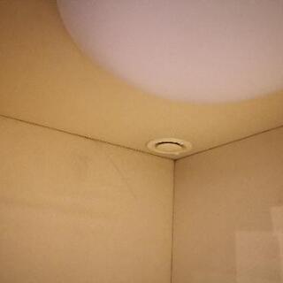 防音室　ナサール