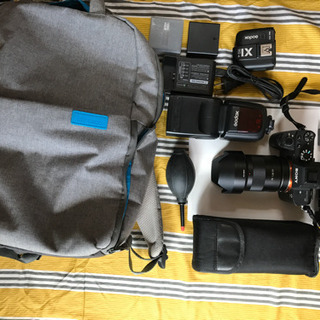 ソニーSony α7rii カメラレンズセット(55f1.8 1635f4) ソニーSony α7rii カメラレンズセット(55f1.8 1635f4) 【公式通販】
