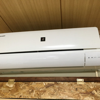 未使用 25AW リップヴァンウィンクル ブッシュショーツ L RB-708