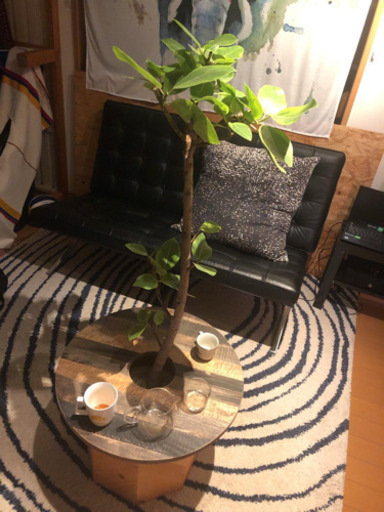 Ikea ラグ 渦巻きデザイン 0 0 ビクトル 中野島のカーペット マット ラグの中古あげます 譲ります ジモティーで不用品の処分