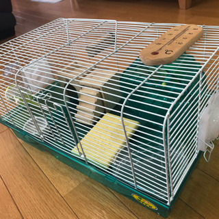 ハムスター飼育セット