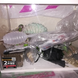 GEX水槽セット（総額の8,000円オフ）郵送可能