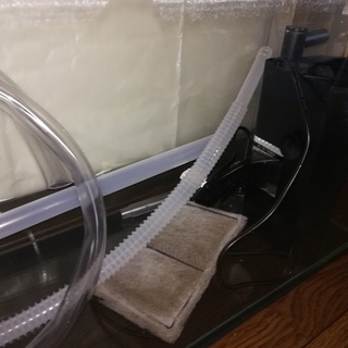 GEX水槽セット（総額の8,000円オフ）郵送可能