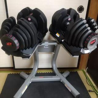 ボウフレックス41キロ✕2＋専用スタンド