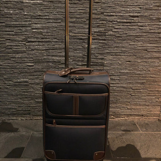 キャリーバッグ  スーツケース 41L 