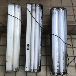60cm水槽用蛍光灯 ゴンタ 山手のその他の中古あげます 譲ります ジモティーで不用品の処分 60cm水槽用蛍光灯 ゴンタ 山手のその他の中古あげます 譲ります ジモティーで不用品の処分